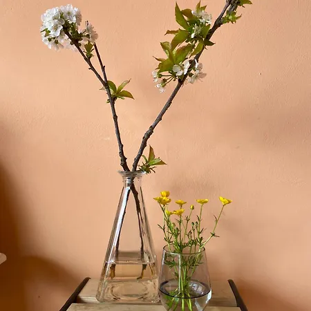 Rosa Apartment Miagliano