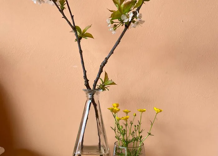Rosa Appartement Miagliano